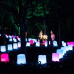 Pink and pale blue lights shaped like upside-down buckets are in a winding line through some trees at the Royal Botanical Gardens in Burlington. A young girl is in the background of the photo, enjoying the coloured lights.