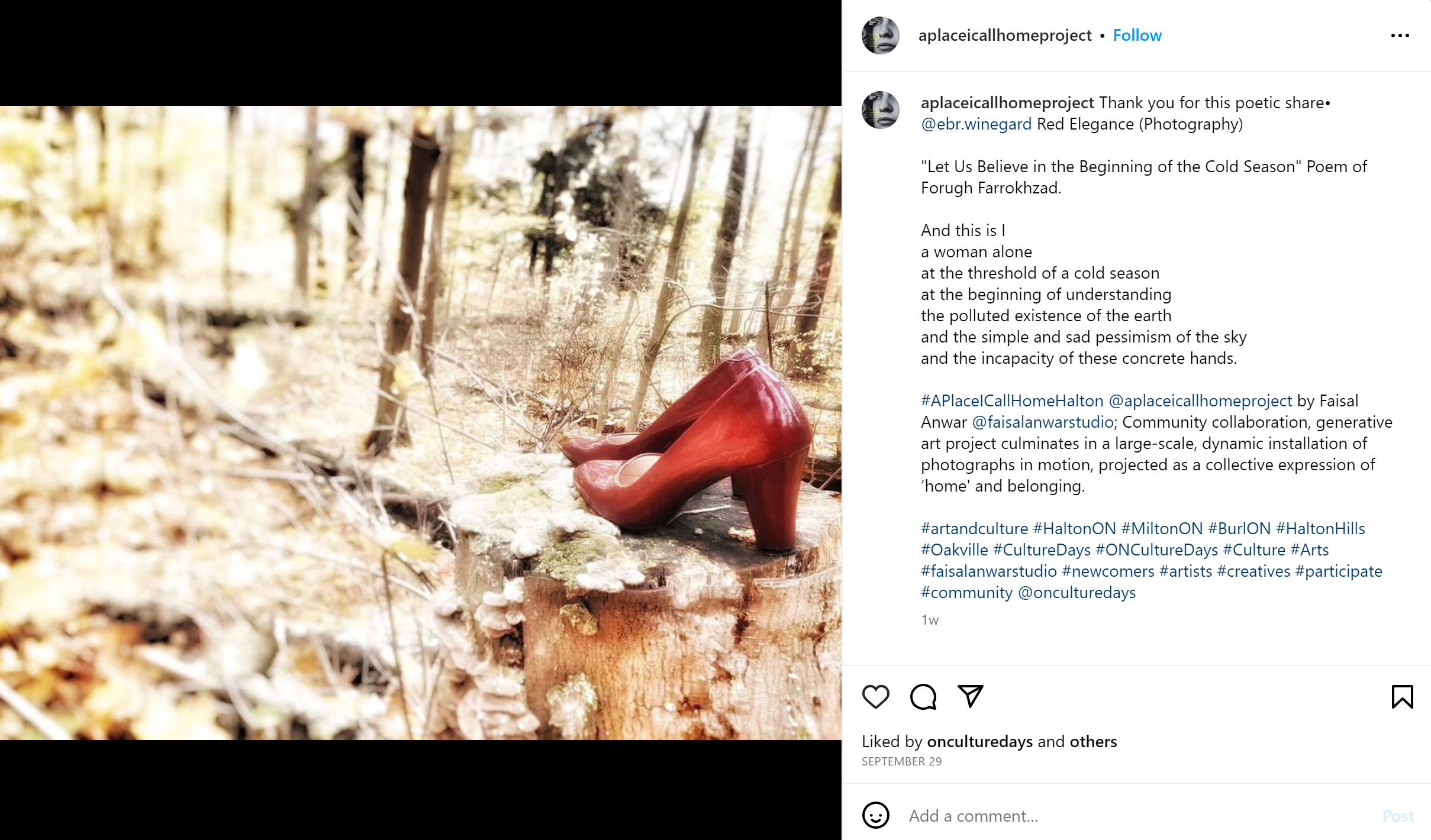 An image of a wooded area, with a pair of red high heels place on a tree stump in the right-hand edge of the photo. Beside the photo is a poem and hashtags; the image is from the Instagram account.