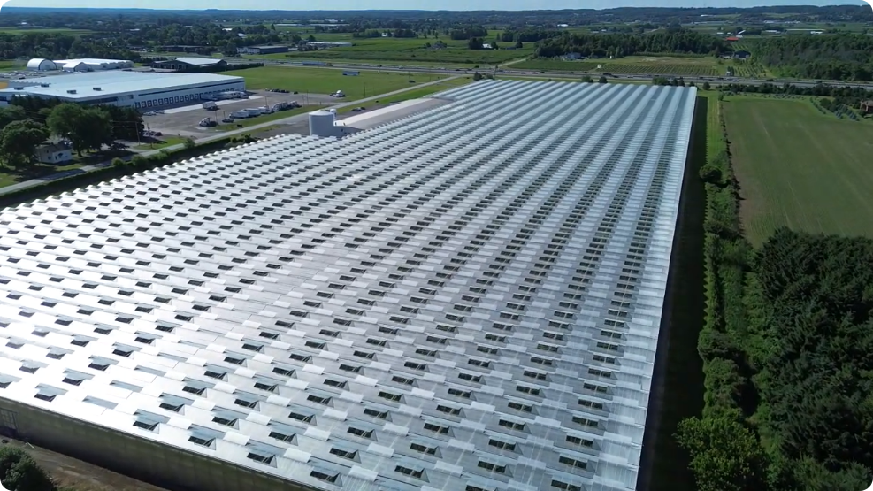 A view of St. David's Hydroponics by drone, courtesy of Eric Chiasson.